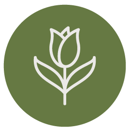 Logo Espaço Azevedo